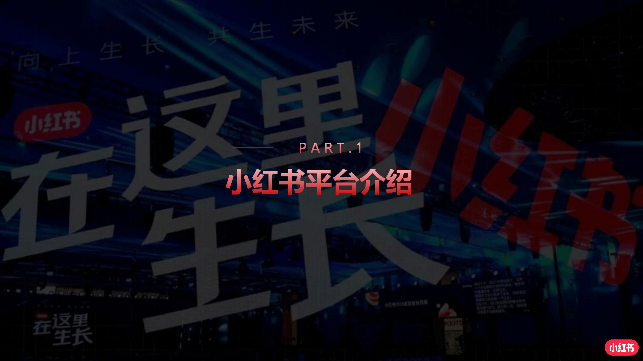 小红书产品解决方案_03.png